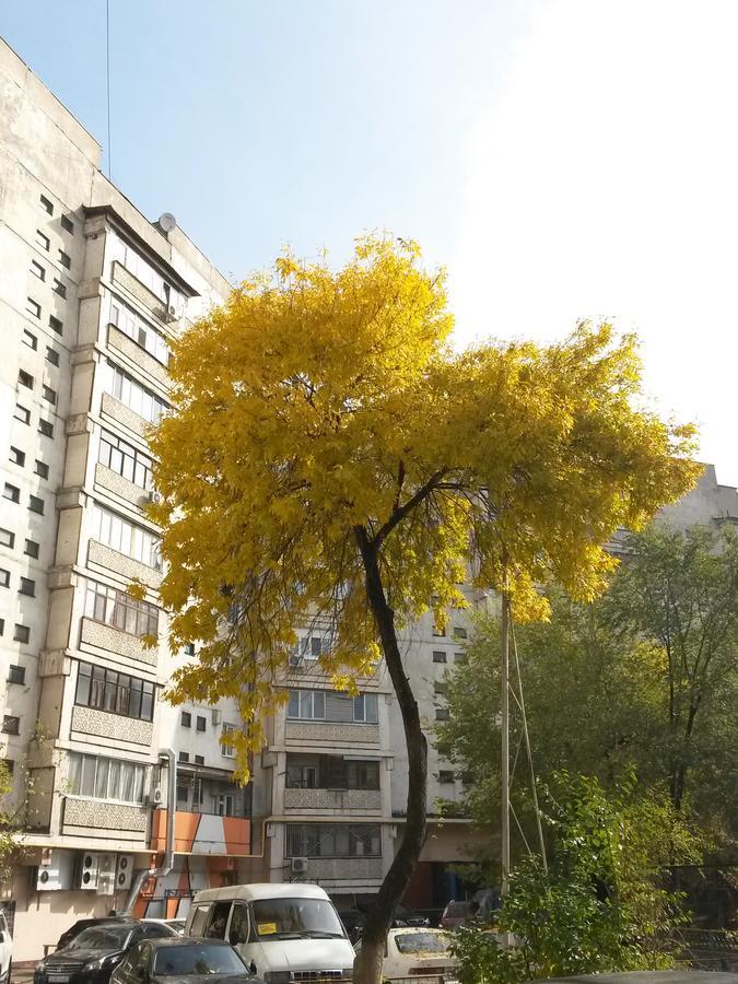 "Арбат" Центр Квартира- Apartment "Arbat" Almaty Exterior photo